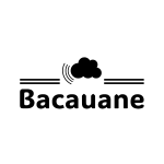 Descopera Bacau prin prisma Bacauane.ro: O platforma pentru informatii
